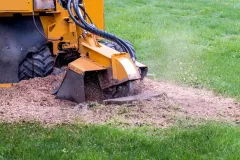 stump-grinding